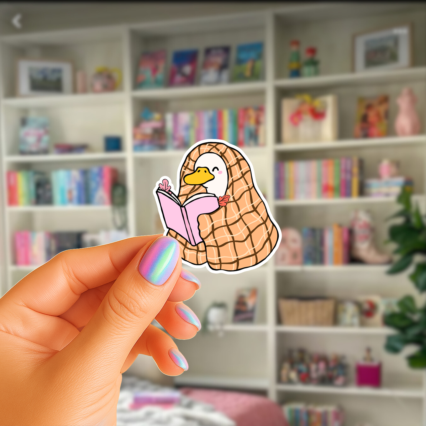 Cozy Reading Duck